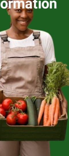 Une productrice tient une caisse de légumes frais